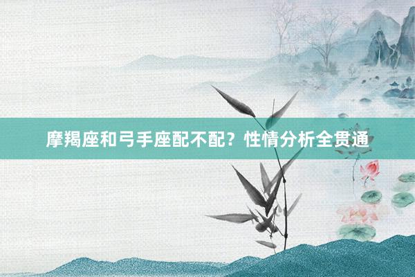 摩羯座和弓手座配不配？性情分析全贯通